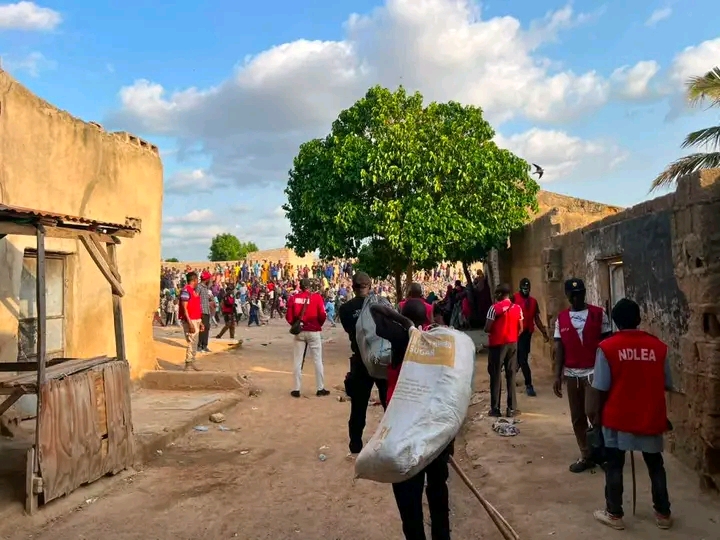 NDLEA ta kama mutane 80, ta tarwatsa guraren da ake ta'ammali da kayan maye guda 16 a Kano.